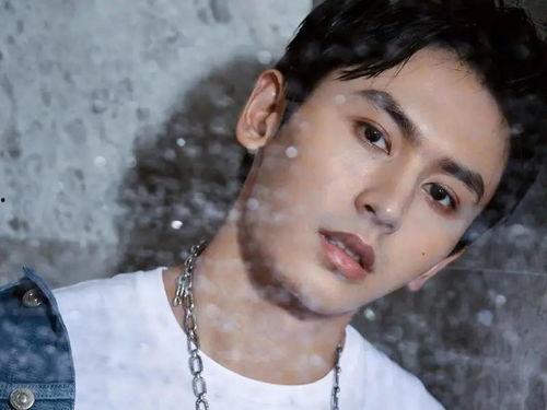 张哲瀚爆料视频,娱乐圈幕后真相大曝光